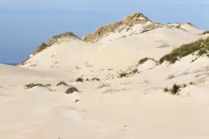 Dune formation, Zuid Kennemerland National Park, Noord-Holland, the Netherlands