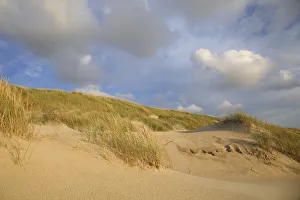 Dunes at the Dutch coast under a sky full with clouds, The Netherlands, Noord-Holland Dunes at the Dutch coast under a sky full with clouds, The Netherlands, Noord-Holland