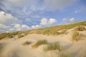 Dunes at the Dutch coast under a sky full with clouds, The Netherlands, Noord-Holland