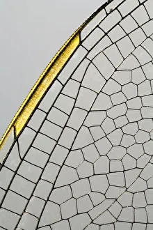 Emperor Dragonfly (Anax imperator) wing, Den Helder, The Netherlands