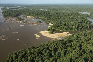 Essequibo River in rainforest, Guyana