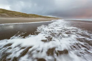 Foam on North Sea beach at stormy winter day, North Sea beach, the Netherlands