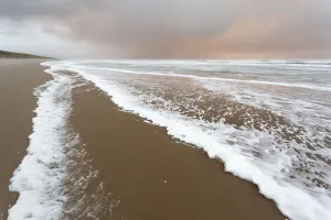 Foam on North Sea beach at stormy winter day, North Sea beach, the Netherlands