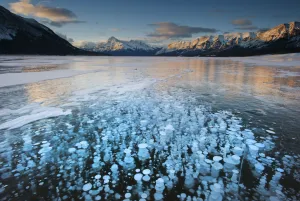 Cold Prints: Frozen gas bubbles beneath surface of frozen lake, Abraham Lake, Canadian Rockies