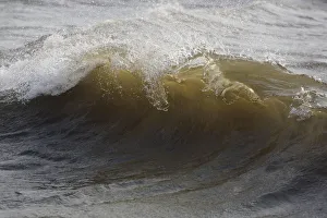 Incoming waves just before breaking on beach, The Netherlands, Noord-Holland