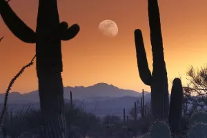 Kitt Peak under moon from Saguaro National Monument, Arizona Kitt Peak under moon from Saguaro National Monument, Arizona