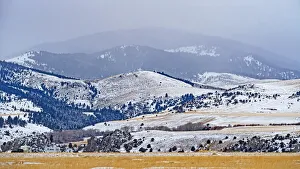 Winter Landscape Prints: Landscape near Hebgen Lake, Yellowstone National Park, Wyoming, USA