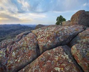 Blue Sky Prints: Lichen on rocks, Mount Scott, Wichita Mountains National Wildlife Refuge, Oklahoma
