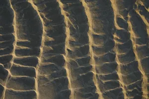 Lines in the sand at first light of the day, The Netherlands, Noord-Holland Lines in the sand at first light of the day, The Netherlands, Noord-Holland
