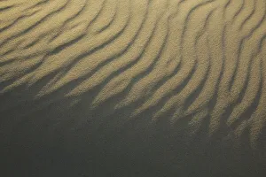 Lines in the sand at the last light of the day, Noord-Holland, The Netherlands Lines in the sand at the last light of the day, Noord-Holland, The Netherlands