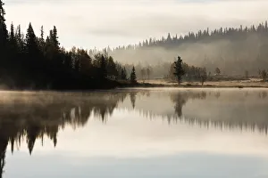 Mist at sunrise over a lake in Oppsjomira nature reserve, Oppsjomira, Gausdal, Norway Mist at sunrise over a lake in Oppsjomira nature reserve, Oppsjomira, Gausdal, Norway