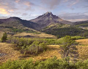 Mother Prints: Mount Galwey, Waterton Lakes National Park, Canada