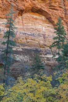 Utah Prints: Natural arch, Zion National Park, Utah