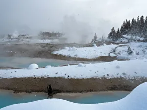 Norris Geyser Basin, Yellowstone National Park, Wyoming, USA Norris Geyser Basin, Yellowstone National Park, Wyoming, USA