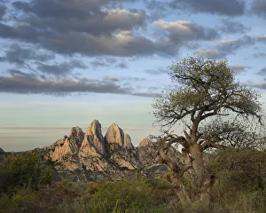 Mexico Prints: Organ Mountains near Las Cruces, New Mexico