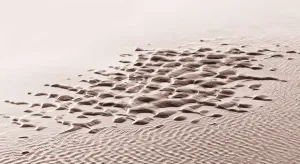 Artistic Prints: Patterns in the sand