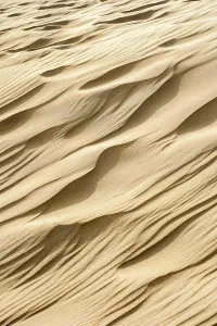 Creative Prints: Patterns in the sand of the dunes, Kennemerduinen, Noord-Holland, The Netherlands