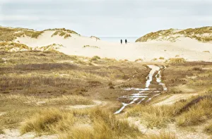 Two people walking to the sea in a wet dune valley, Schoorlse Duinen, Noord-Holland