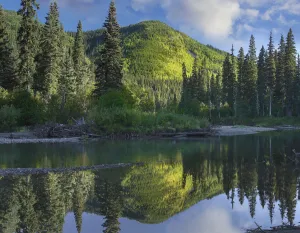 Mother Prints: Pine River, Hart Ranges, British Columbia, Canada
