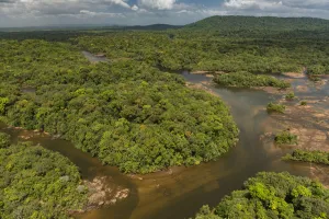 River in rainforest, Essequibo River, Rupununi, Guyana