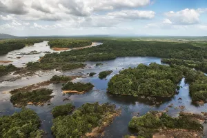 River in rainforest, Essequibo River, Rupununi, Guyana