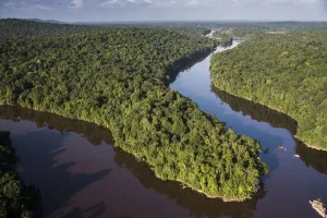 River in rainforest, Kaieteur Falls, Potaro River, Kaieteur National Park, Guyana
