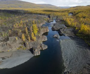 Aerial Prints: River in taiga, Putorana Plateau, Siberia, Russia
