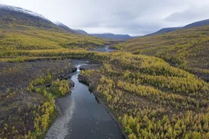 Aerial Prints: River in valley, Putorana Plateau, Siberia, Russia