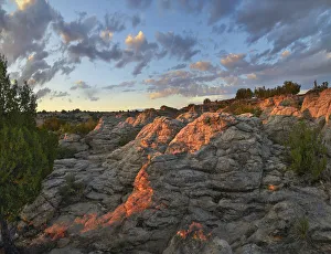 Blue Sky Prints: The Rock Garden, Clayton Lake State Park, New Mexico