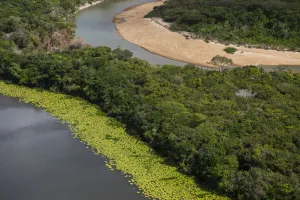 Rupununi River flowing through rainforest, Rupununi, Guyana