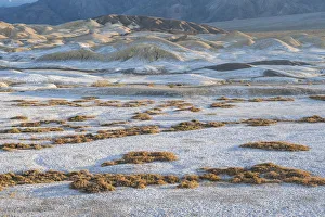 Salt deposits, Salt Creek Trail, Death Valley National Park, California Salt deposits, Salt Creek Trail, Death Valley National Park, California
