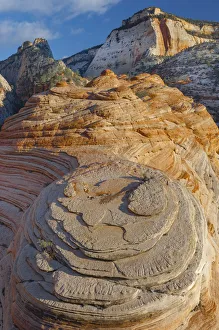 Blue Sky Prints: Sandstone formation, Zion National Park, Utah