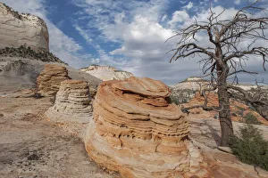 Blue Sky Prints: Sandstone pedestals, Zion National Park, Utah