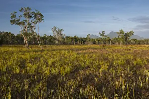 Blue Sky Prints: Savanna landscape, Rupununi, Guyana