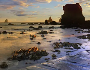 Tranquility Prints: Seastacks, Lone Ranch Beach, Oregon