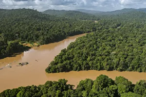 Silted river in rainforest, Cuyuni River, Guyana