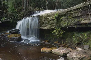 Mother Prints: Small waterfall, Maliau Basin, Malaysia