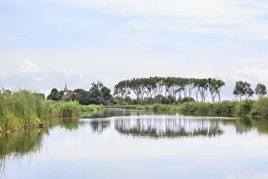 Farmland Prints: Summer view on polder landscape with trees with reflections in water
