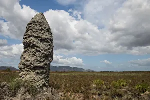 Blue Sky Prints: Termite mound on savanna, Rupununi, Guyana