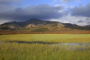 Tundra pond, Denali National Park and Preserve, Alaska, United States Tundra pond, Denali National Park and Preserve, Alaska, United States