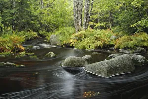 Mother Prints: Upper Bear River in early autumn, Nova Scotia, Canada