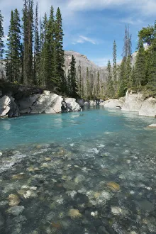 Vermillion River, Kootenay National Park, British Columbia, Canada Vermillion River, Kootenay National Park, British Columbia, Canada