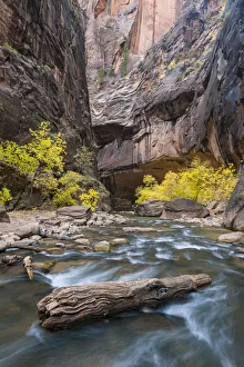 Virgin River, Zion National Park, Utah