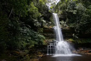 Tranquility Prints: Waterfall, Maliau Basin, Malaysia