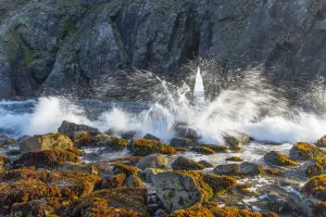 Waves breaking in front of arch, Harris Beach State Park, Oregon Waves breaking in front of arch, Harris Beach State Park, Oregon