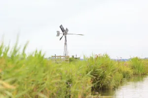 Windmill in peat meadow for dewatering in summer, Waterland, Noord-Holland