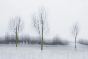 Artistic Prints: Winter landscape impression with trees