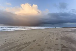 Netherlands Prints: Winter storm at the beach with drifting sand, North Sea, Noord-Holland, the Netherlands